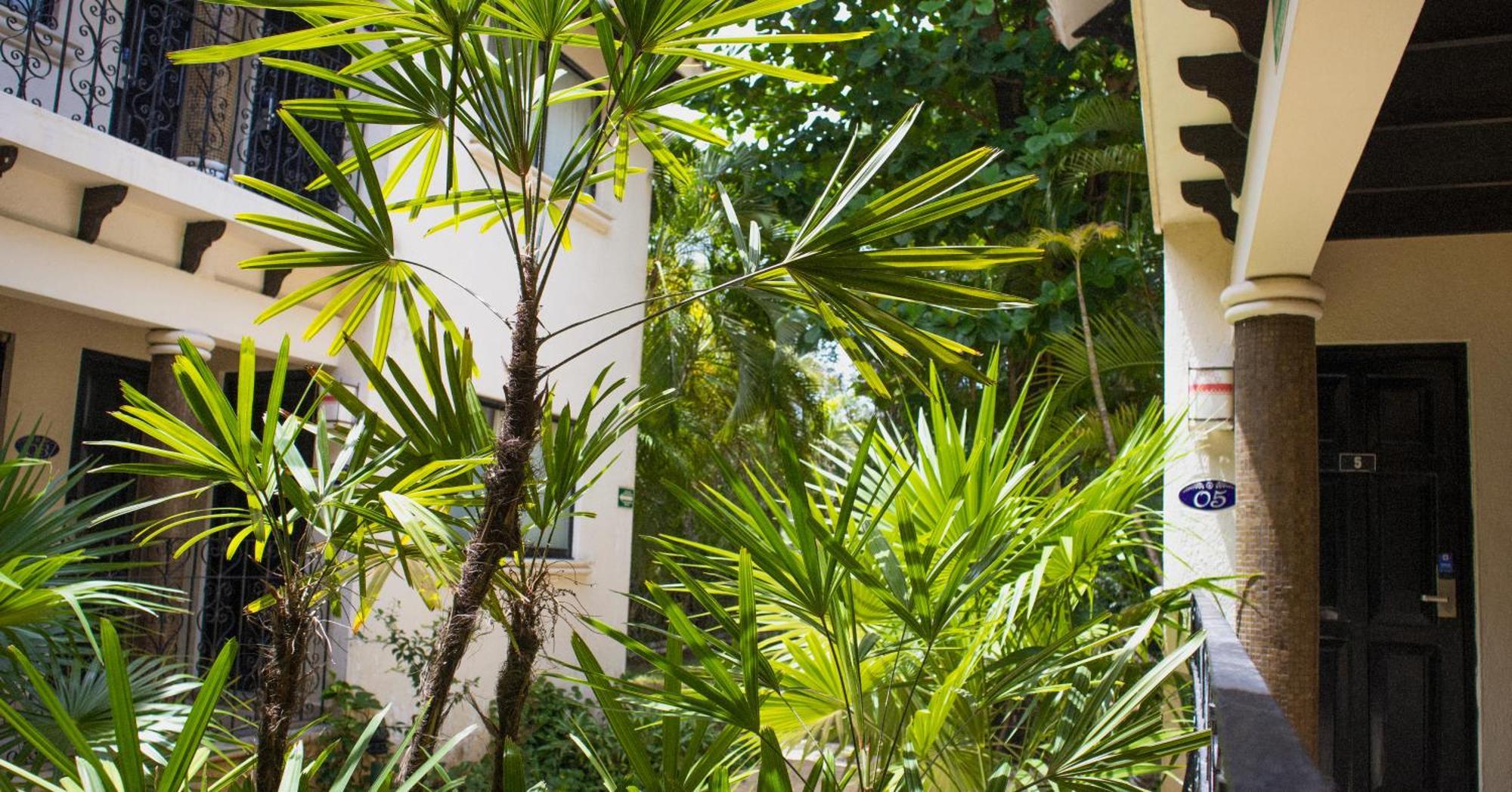 Nina Hotel Playa Del Carmen Exterior photo